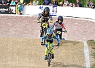 921H7960 bmx-tc-11-9-21